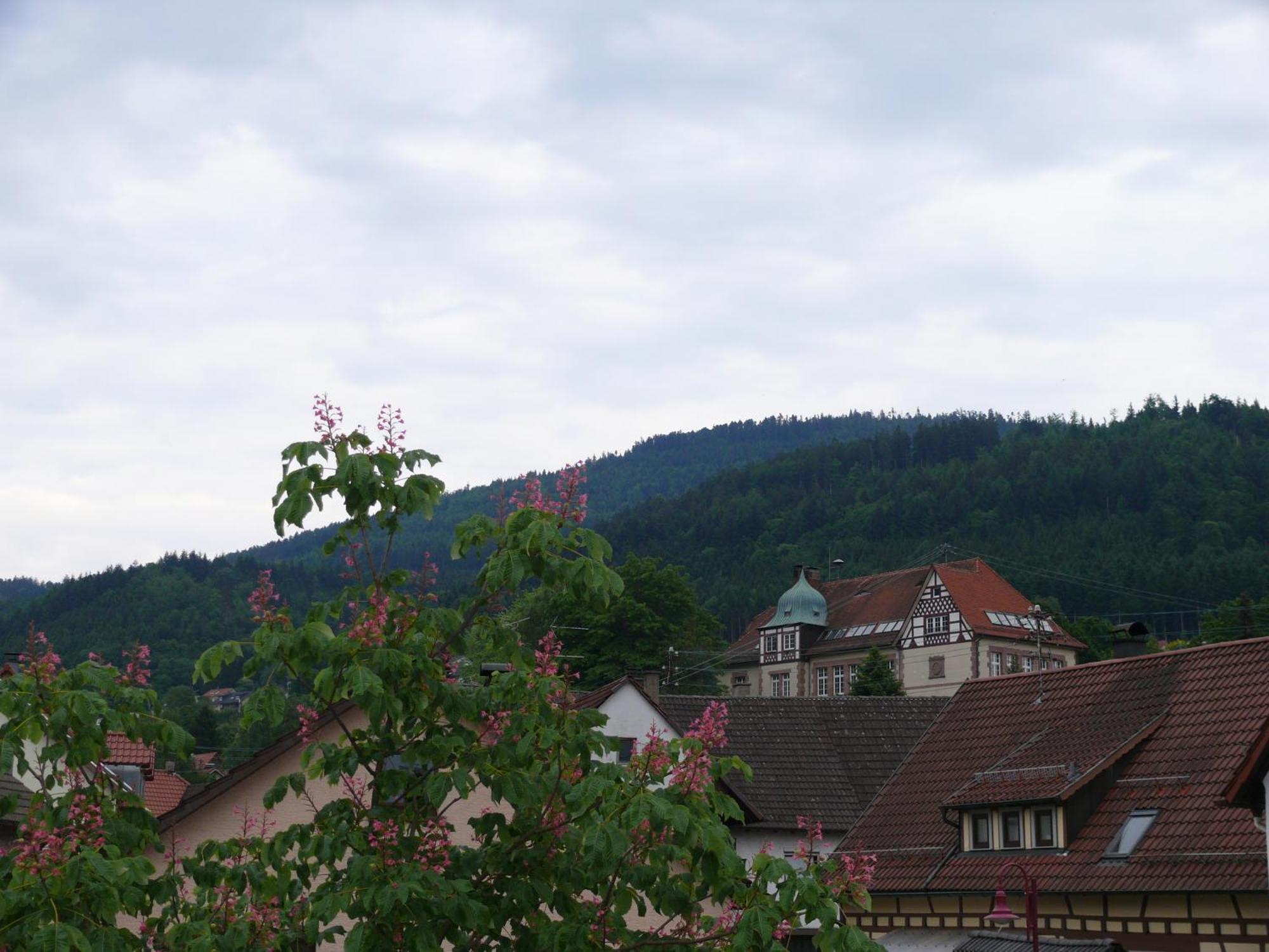 Hotel - Restaurant - Metzgerei Sonne Loffenau 部屋 写真