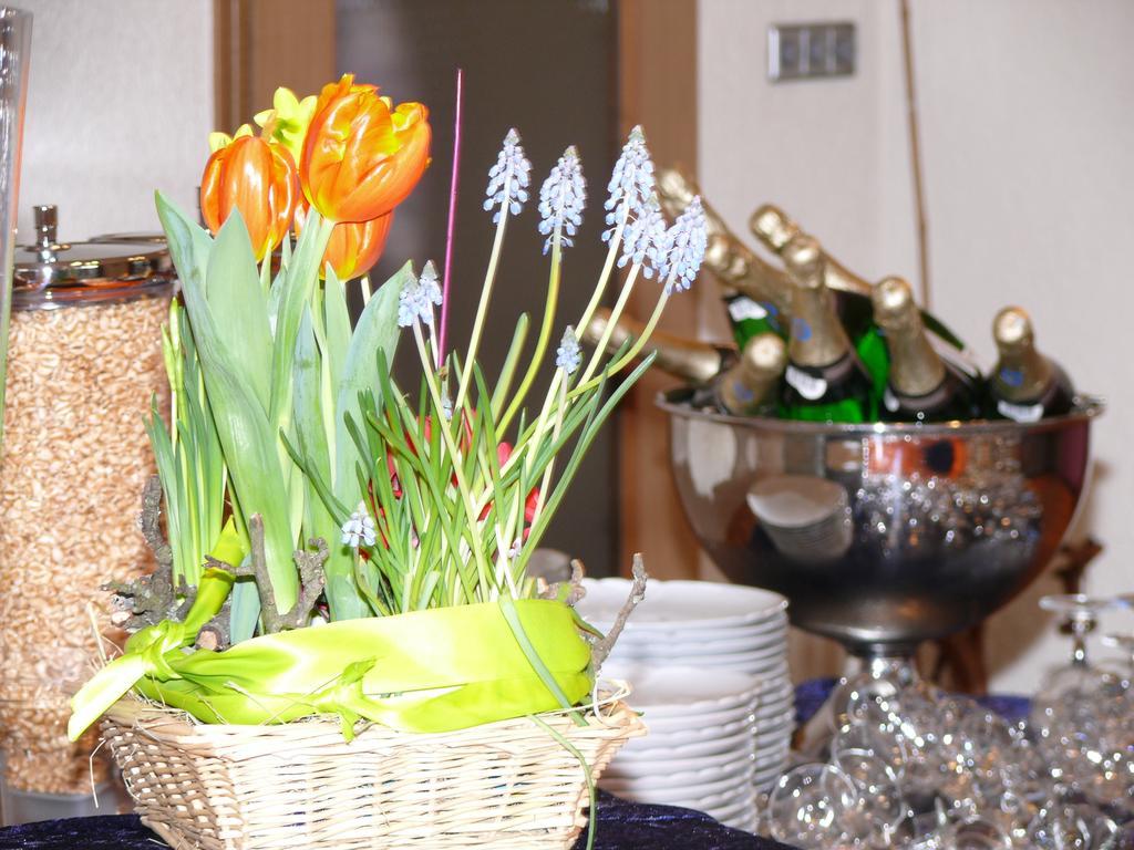 Hotel - Restaurant - Metzgerei Sonne Loffenau エクステリア 写真